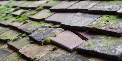 Newtown roof repair costs